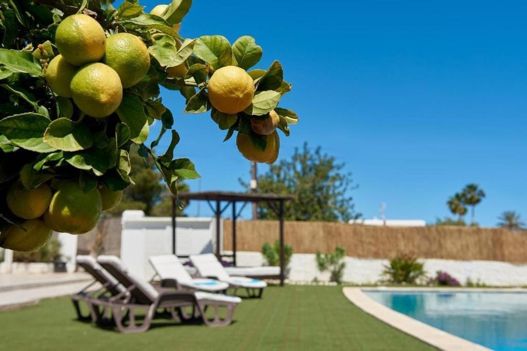 The Lovely Villa Ibiza Exterior photo